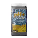 AQUALUX pH plus - Poudre - Boite de 1kg