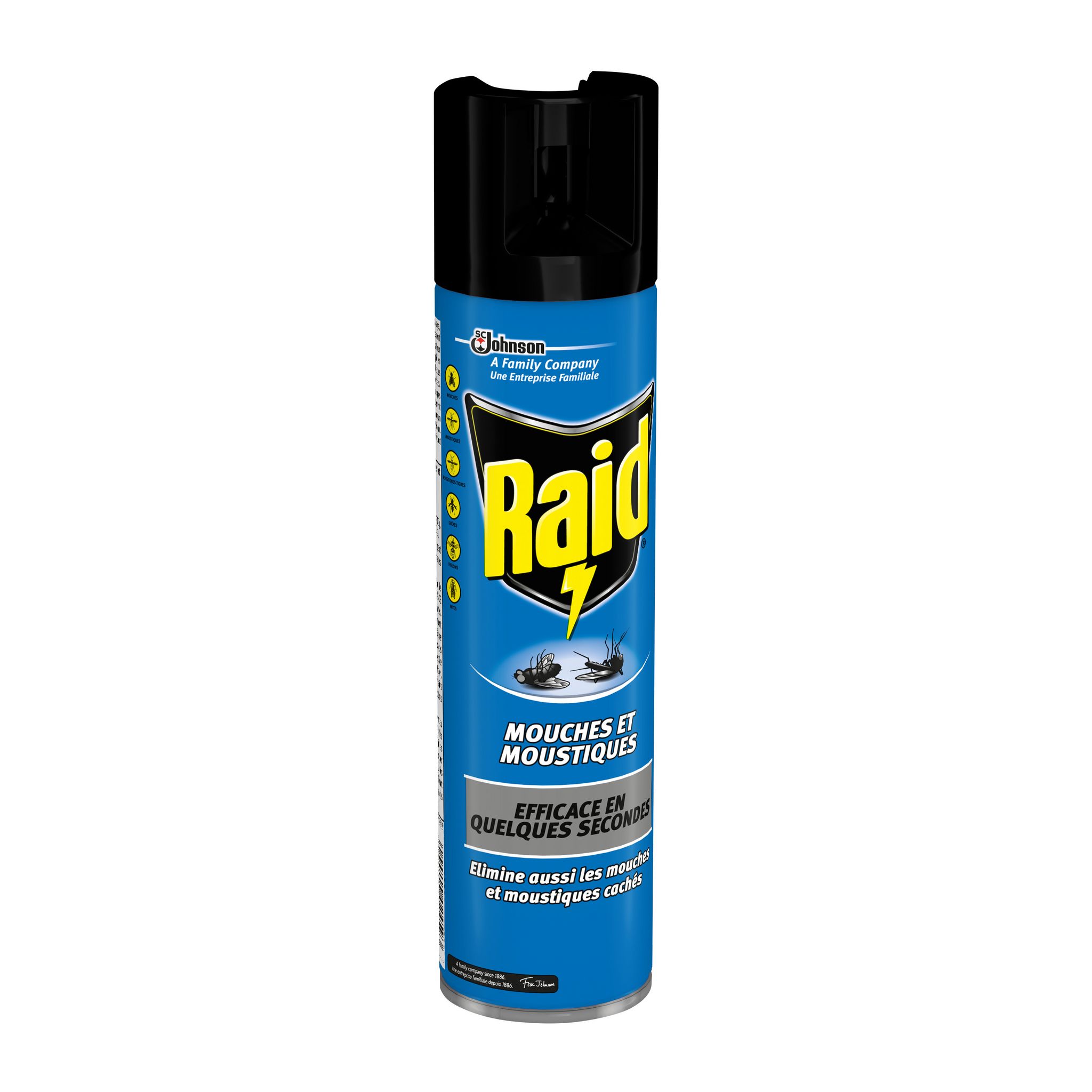 Voir la diapositive 2 : RAID Insecticide anti-mouches et moustiques 400ml
