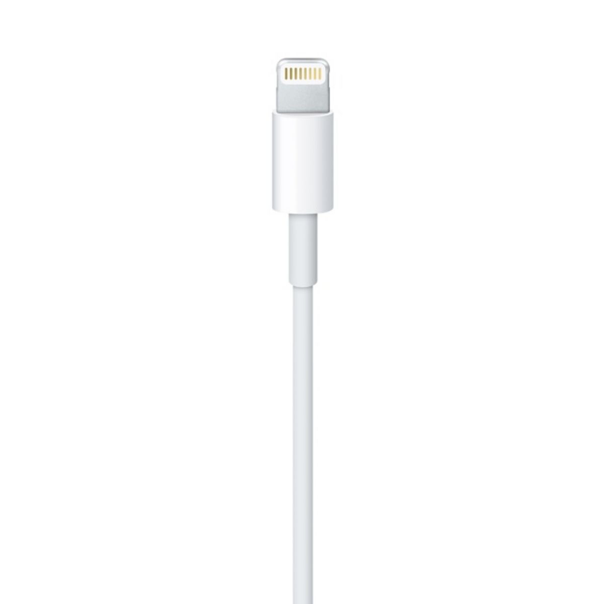 APPLE Câble Lightning vers USB - Longueur de câble 1m - Blanc