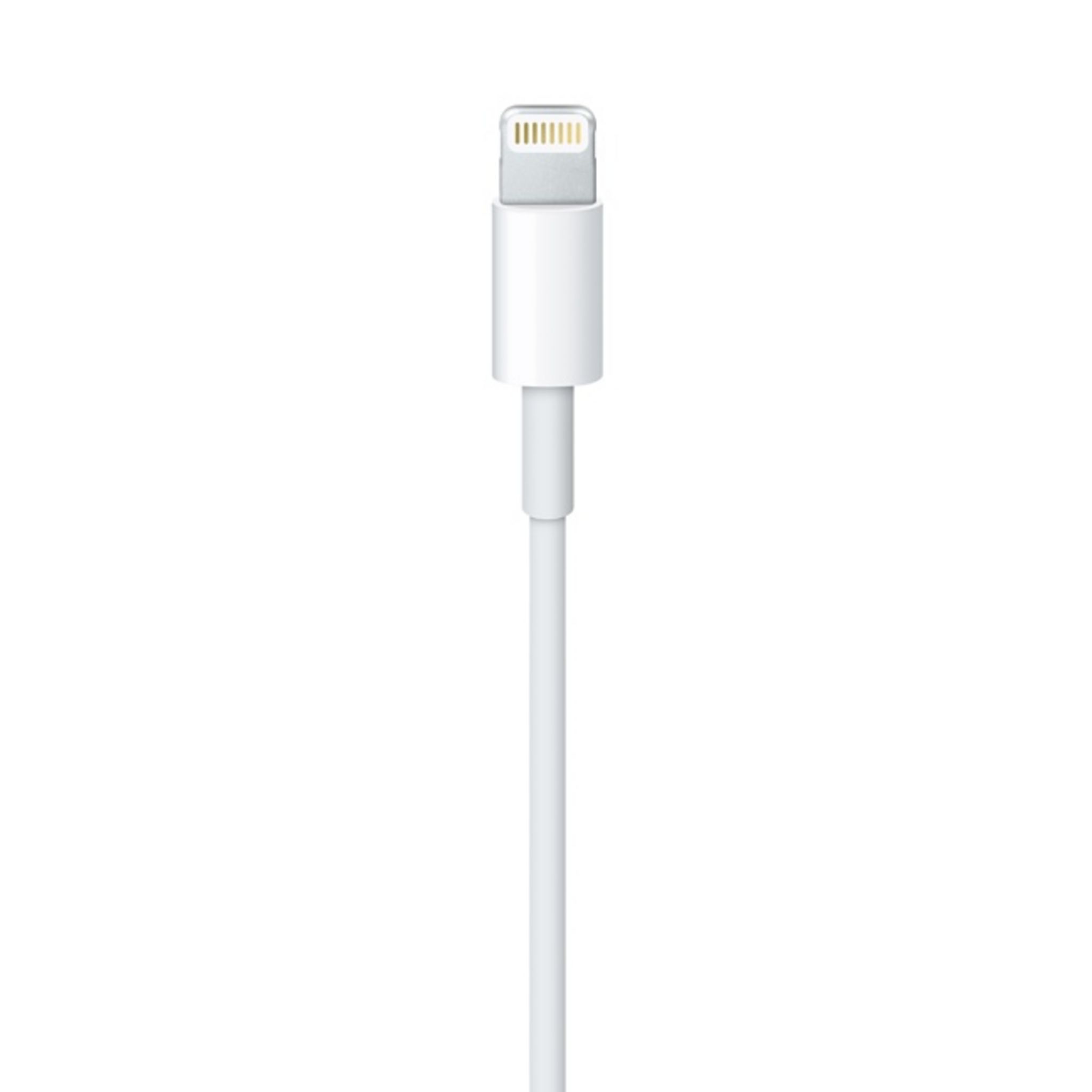 Voir la diapositive 4 : APPLE Câble Lightning vers USB - Longueur de câble 1m - Blanc
