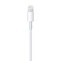 Voir la diapositive 4 : APPLE Câble Lightning vers USB - Longueur de câble 1m - Blanc