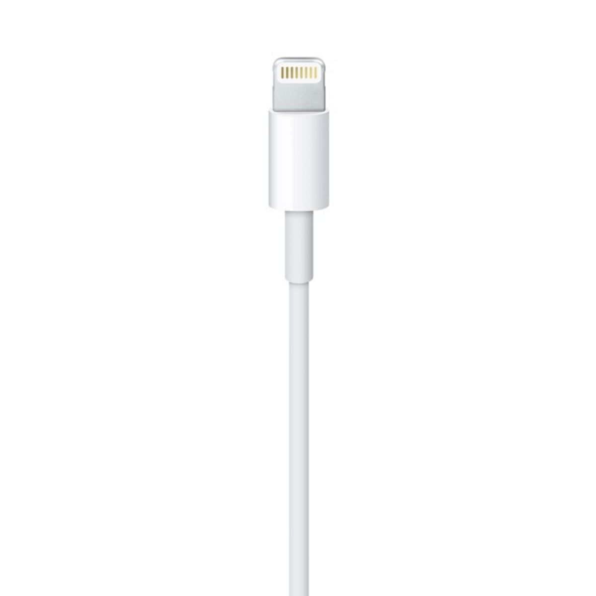 APPLE Câble de charge lightning - Longueur de câble 2m - Blanc