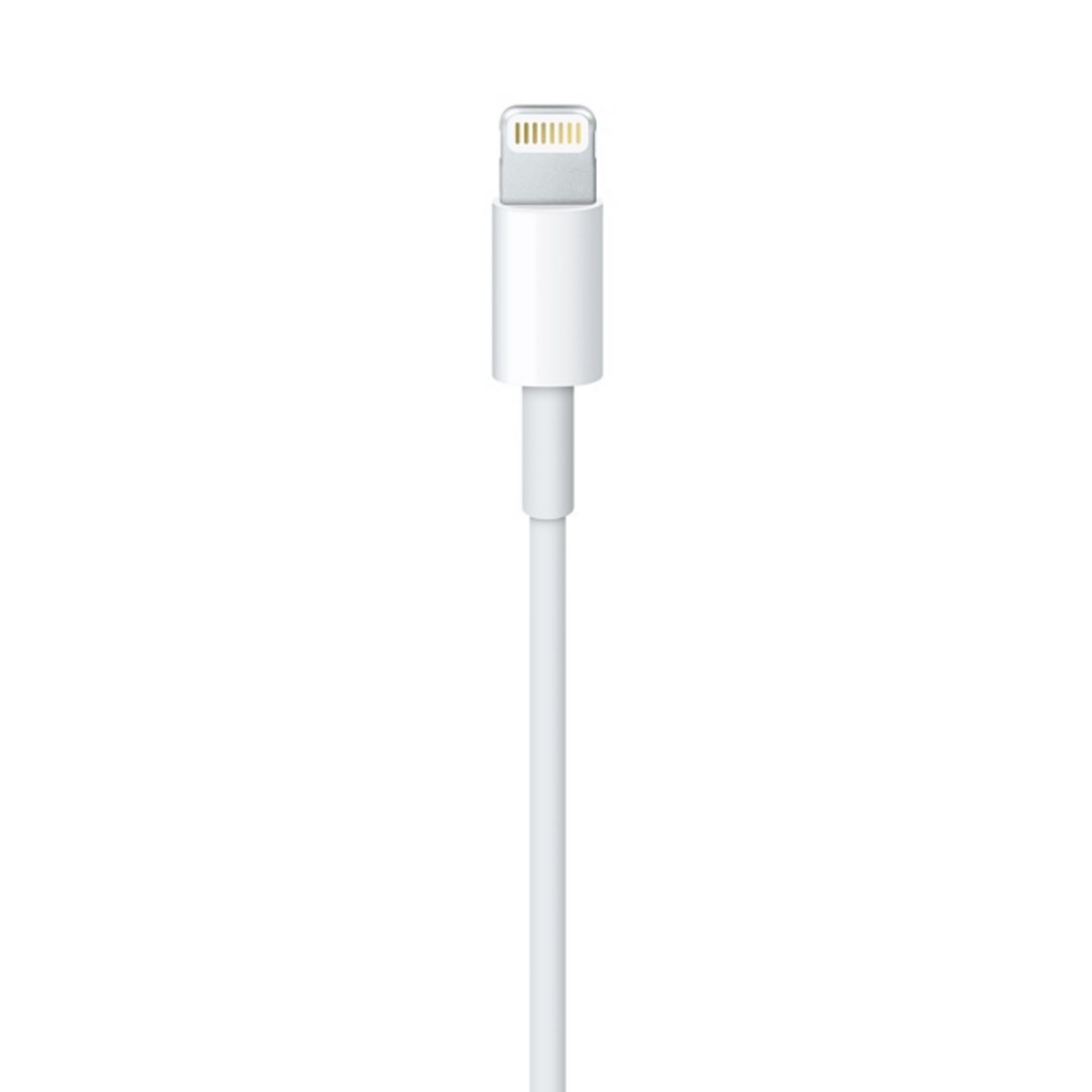 Voir la diapositive 5 : APPLE Câble de charge lightning - Longueur de câble 2m - Blanc