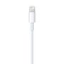 Voir la diapositive 5 : APPLE Câble de charge lightning - Longueur de câble 2m - Blanc