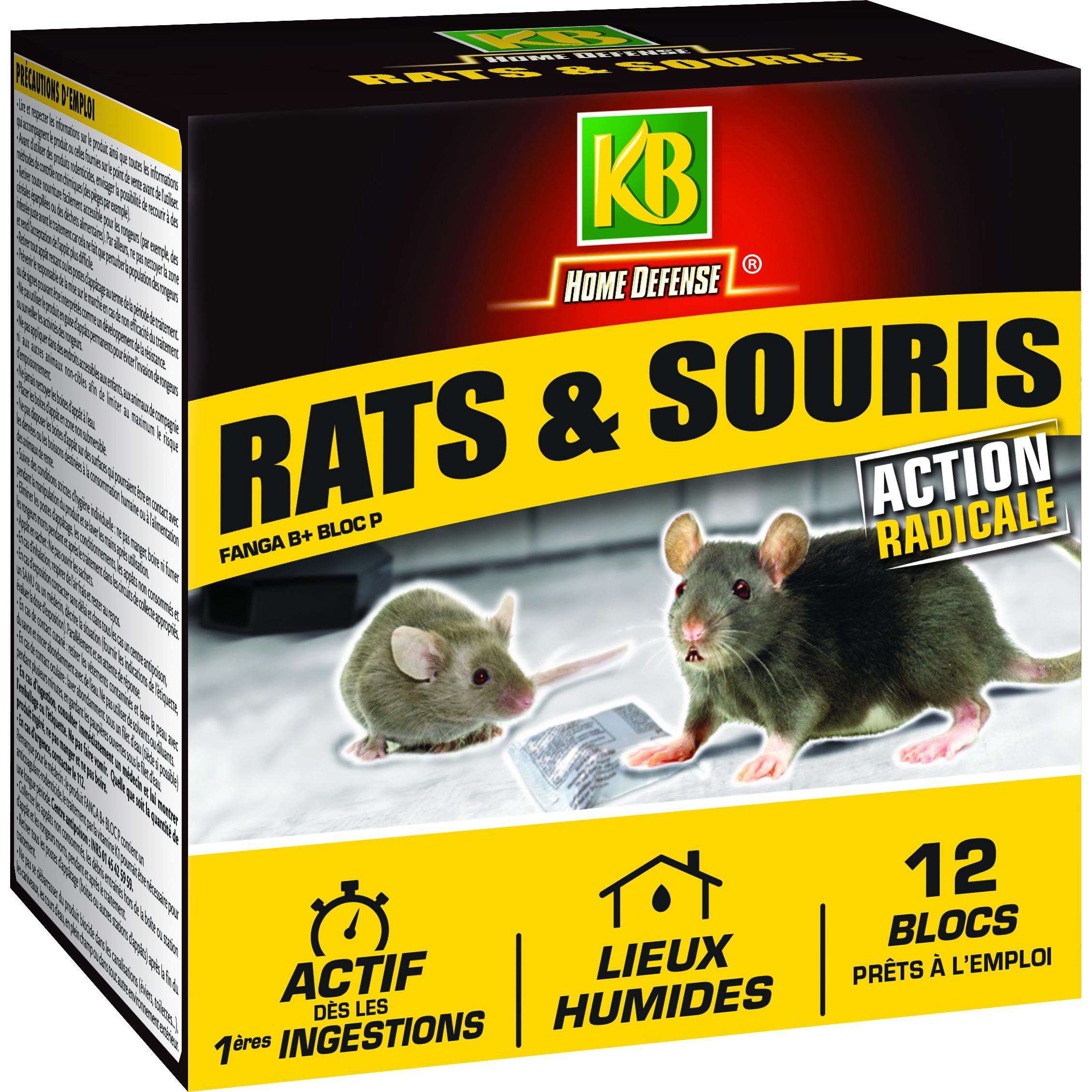 KB Rat souris bloc kb 240g tp 14