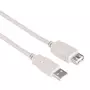 QILIVE Rallonge câble USB 2.0 Type A Mâle / USB Type A Femelle - 3 M - Gris