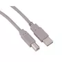 QILIVE Câble USB 2.0 Type A Mâle / USB Type B Mâle - 5 M - Ultra HD - Gris