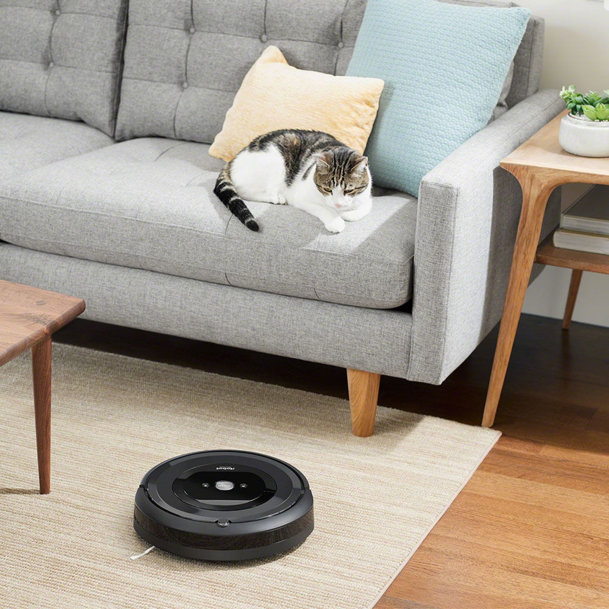 Voir la diapositive 7 : IROBOT Aspirateur Robot connecté Roomba E5158 - Noir