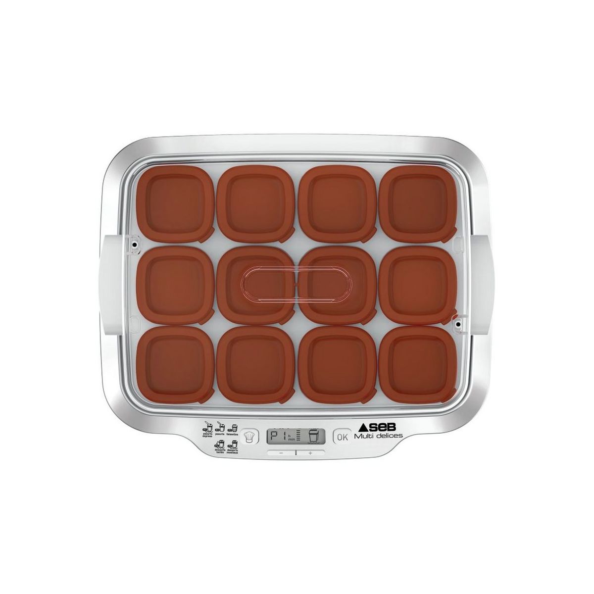 SEB Yaourtière Multidélices Express YG661A00