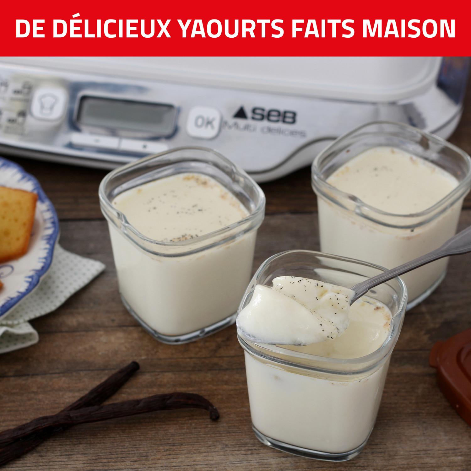 Voir la diapositive 4 : SEB Yaourtière Multidélices Express YG661A00