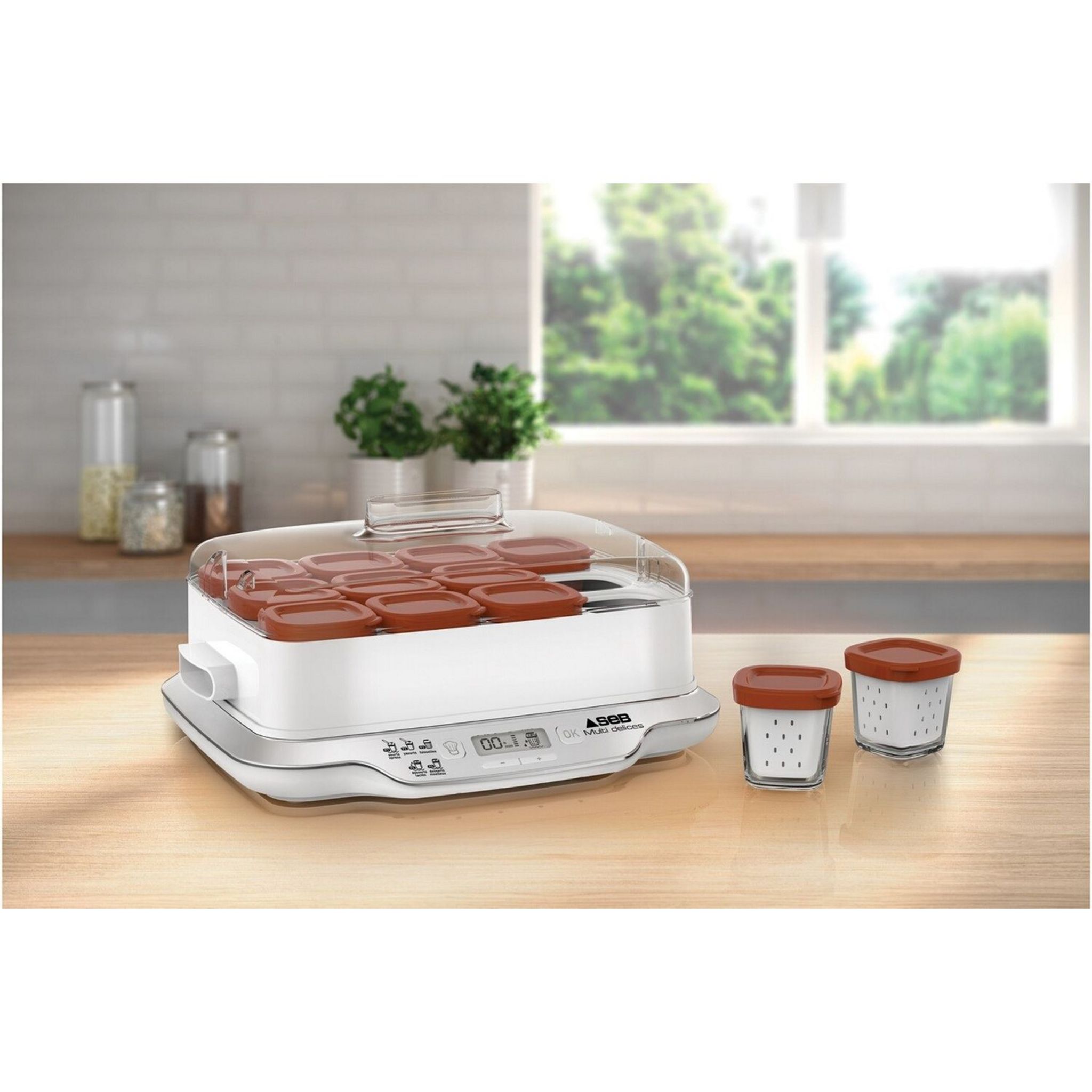 Voir la diapositive 4 : SEB Yaourtière Multidélices Express YG661A00