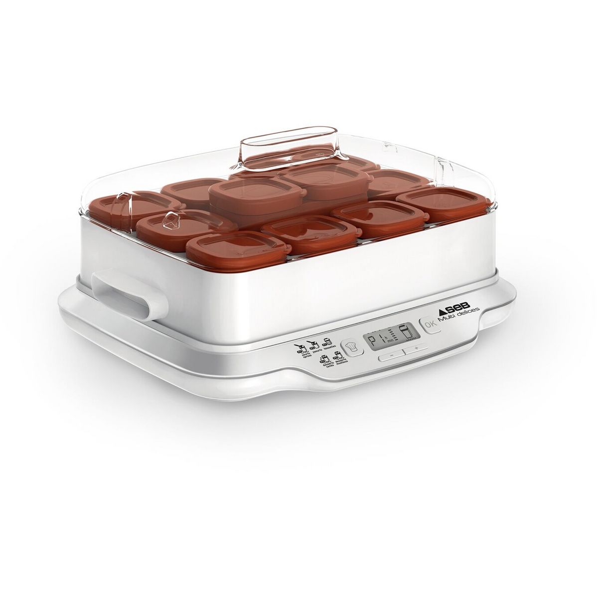 SEB Yaourtière Multidélices Express YG661A00