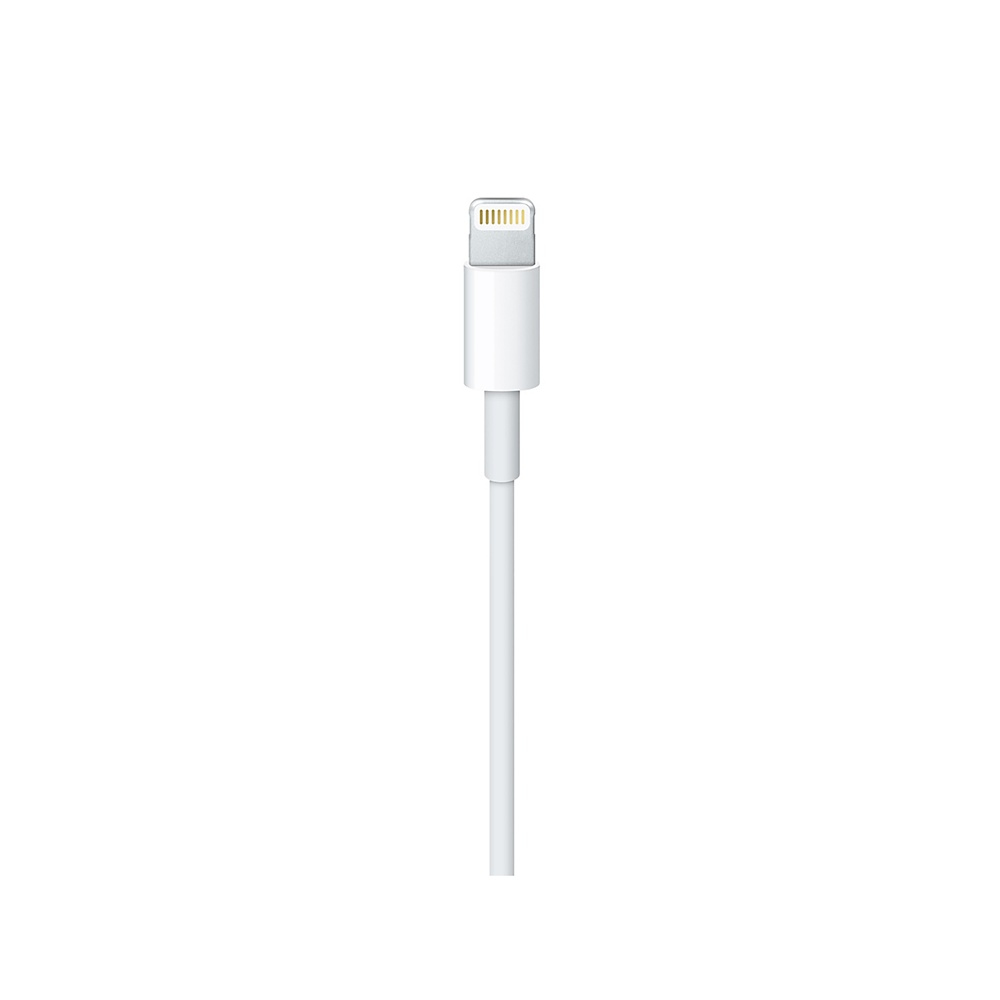 Voir la diapositive 2 : APPLE Adaptateur Lightning vers USB-C - Mâle/mâle - 1 mètre