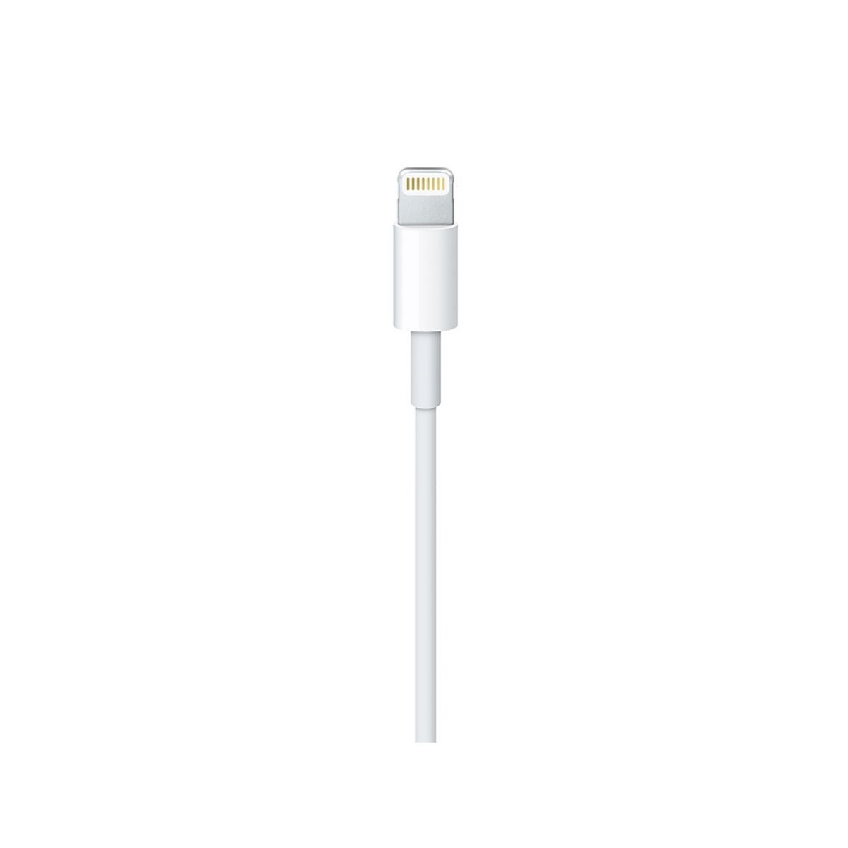 APPLE Adaptateur Lightning vers USB-C - Mâle/mâle - 1 mètre