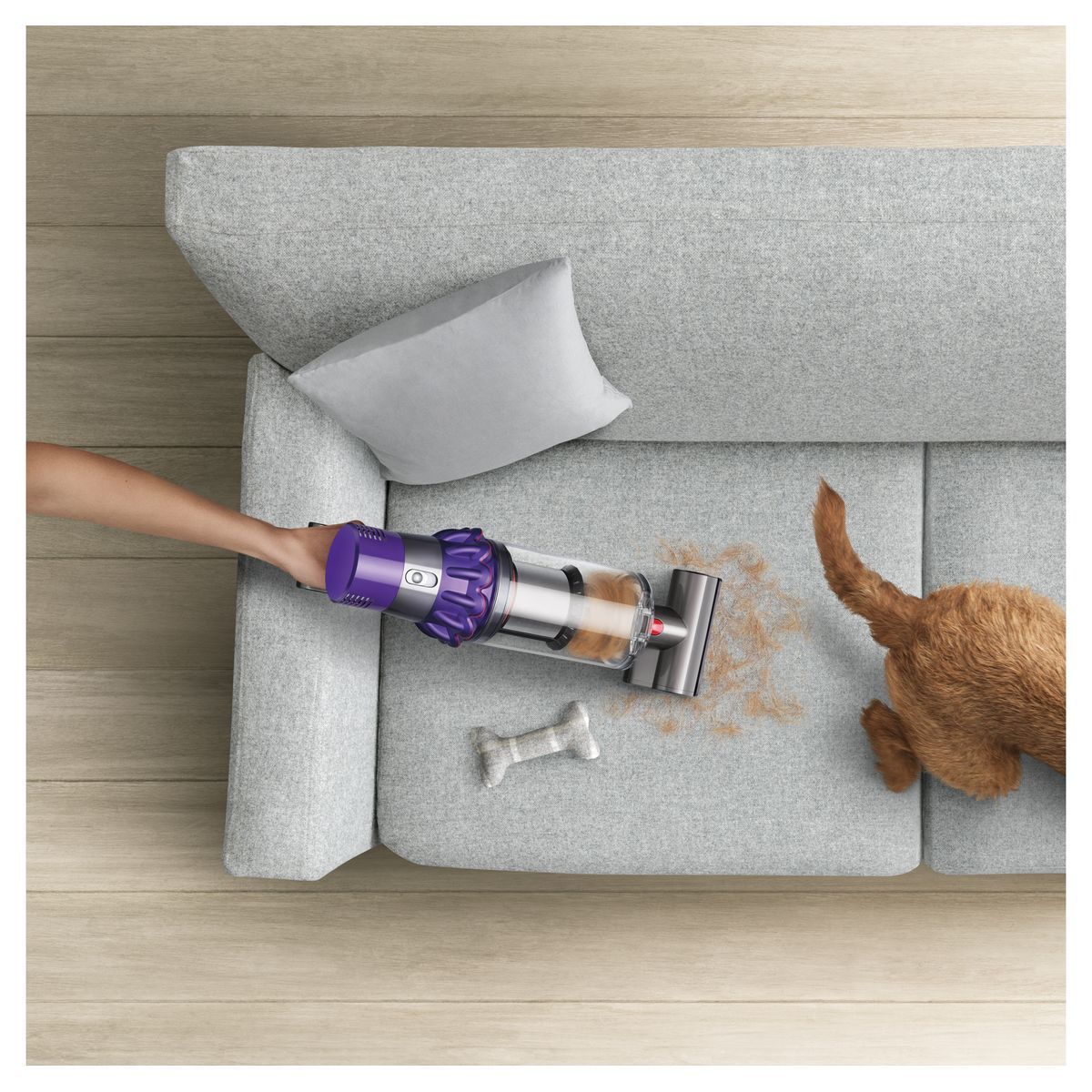 DYSON Aspirateur balai V10 animal