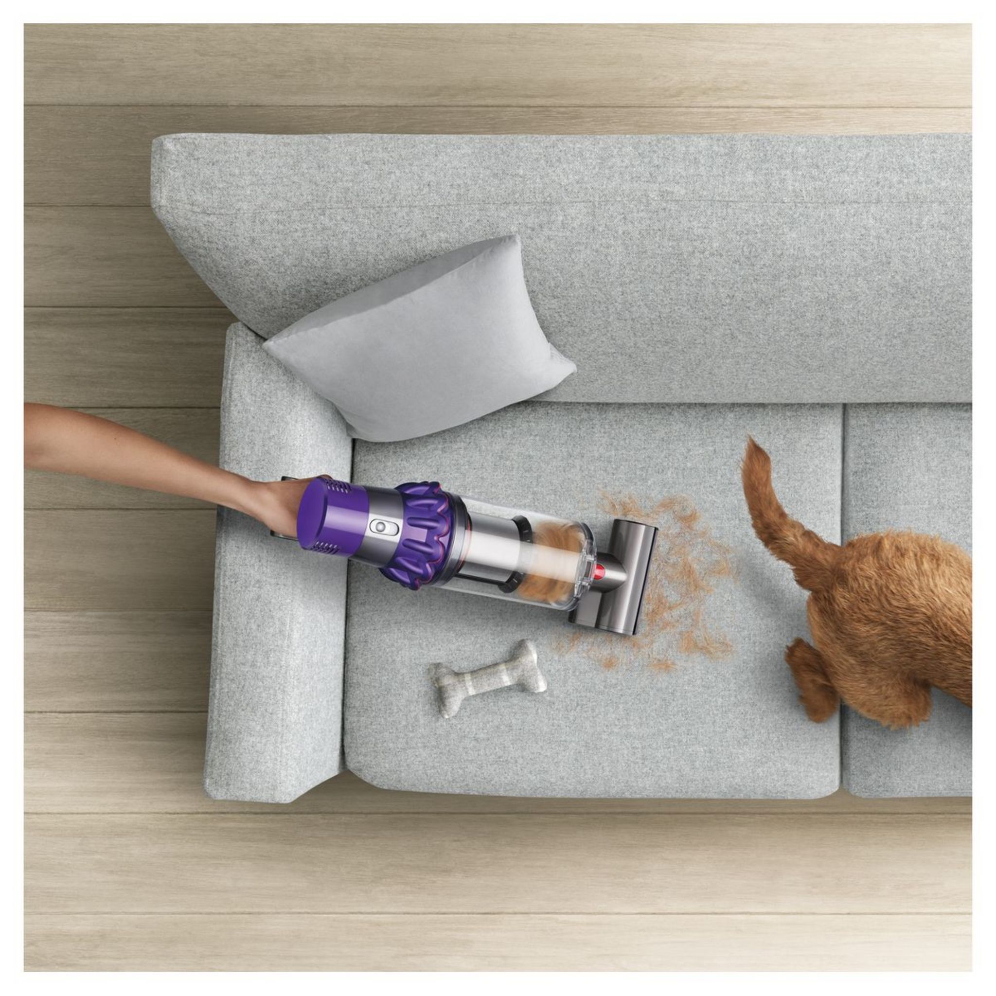 Voir la diapositive 5 : DYSON Aspirateur balai V10 animal