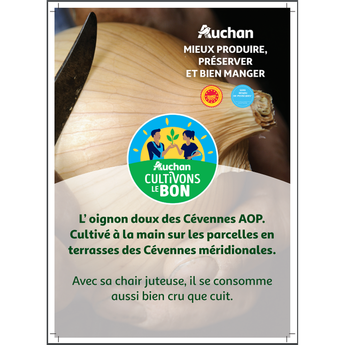 CULTIVONS LE BON Oignons doux  4 pièces