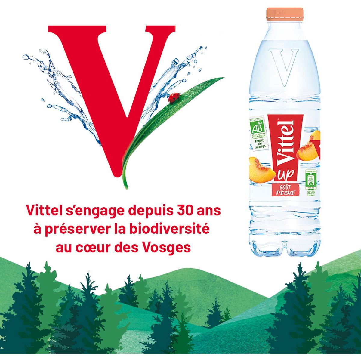 VITTEL UP Eau bio goût pêche 1l