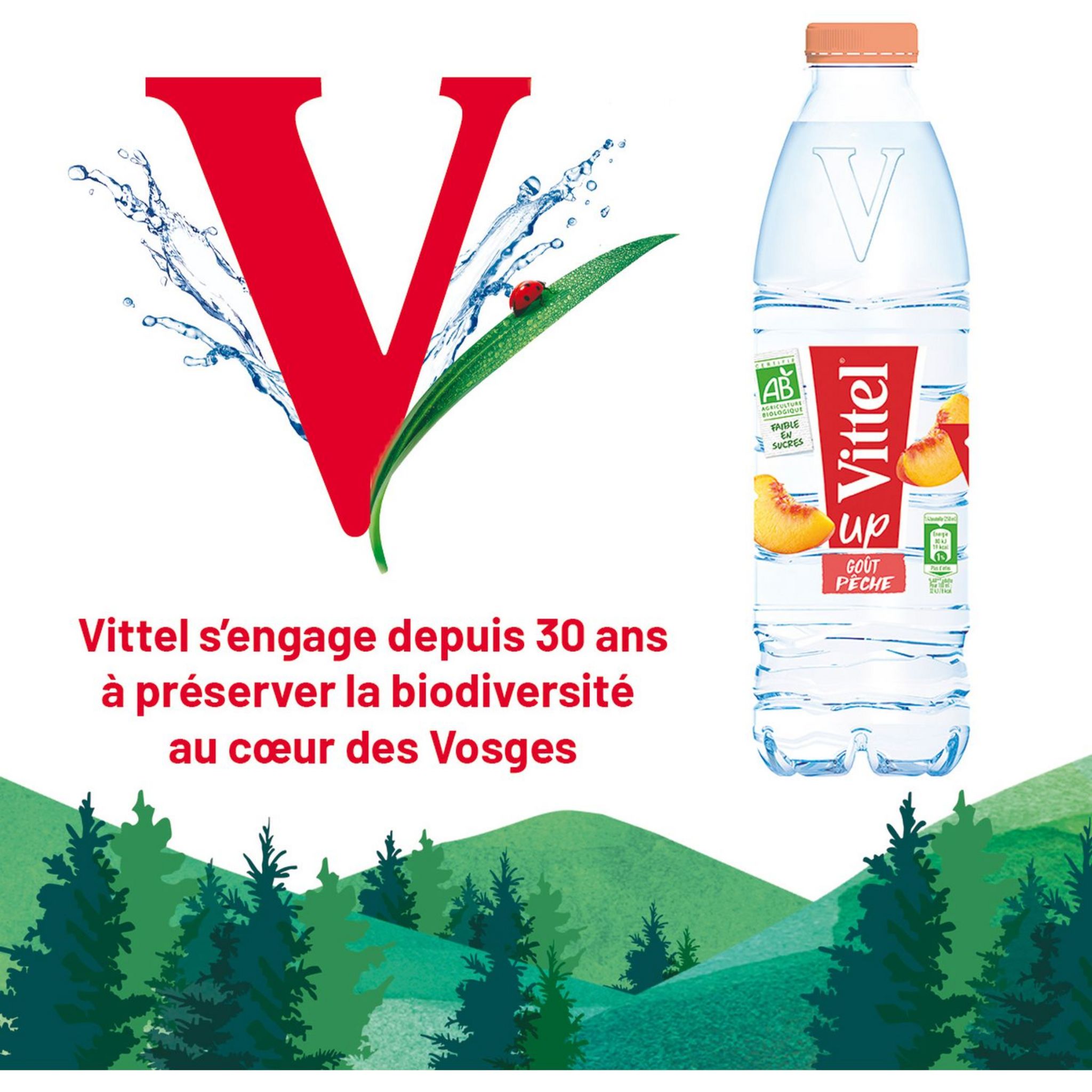 Voir la diapositive 2 : VITTEL UP Eau bio goût pêche 1l