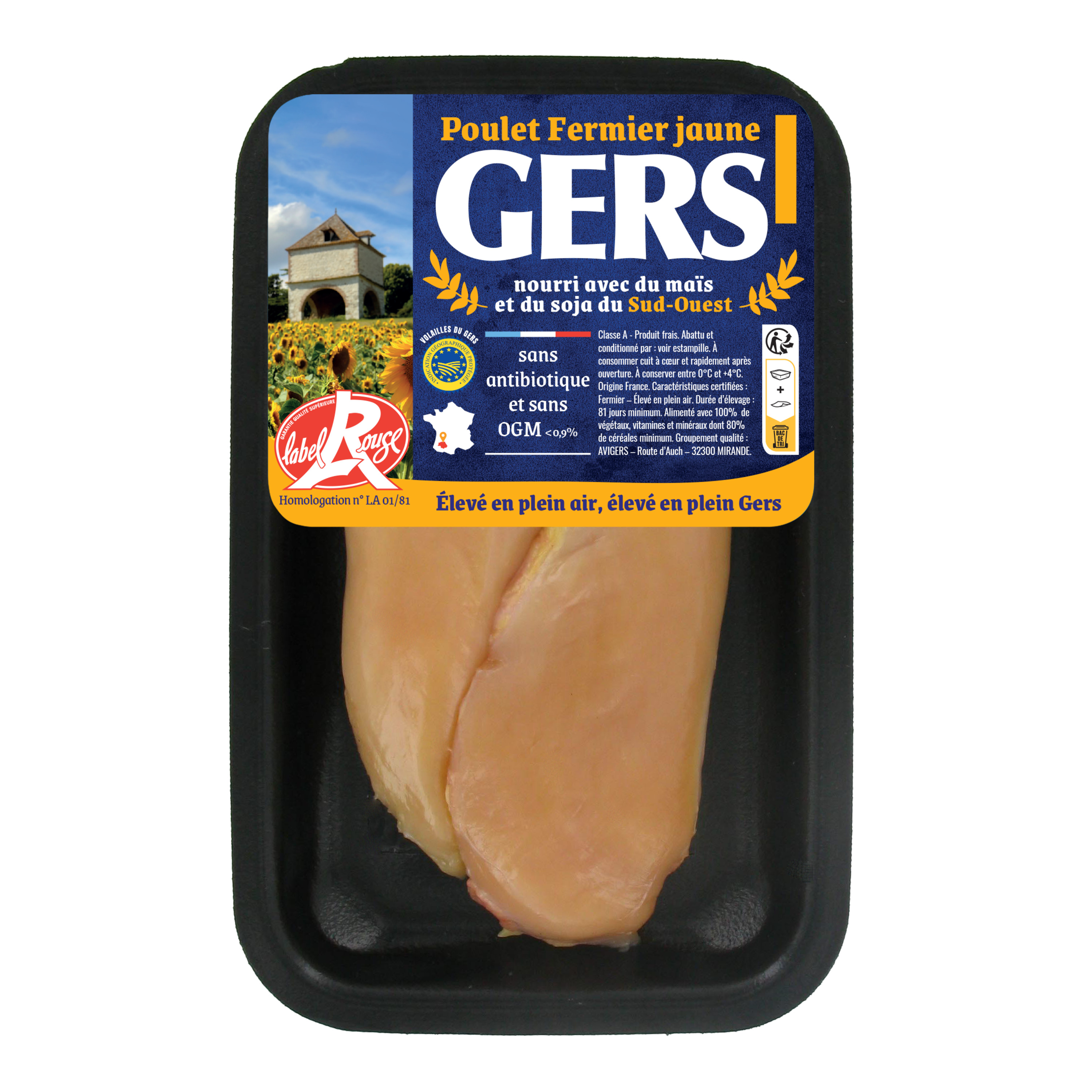 GERS Filets de poulet fermier jaune 2 pièces Env 308g