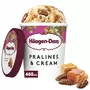 HAAGEN DAZS Pot de crème glacée praline  400g