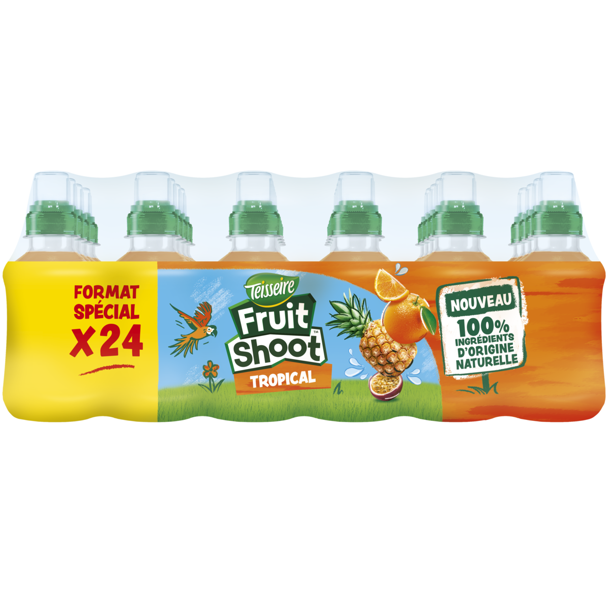 TEISSEIRE Boisson Fruit shoot au jus de fruits tropicaux bouteilles 24x20cl