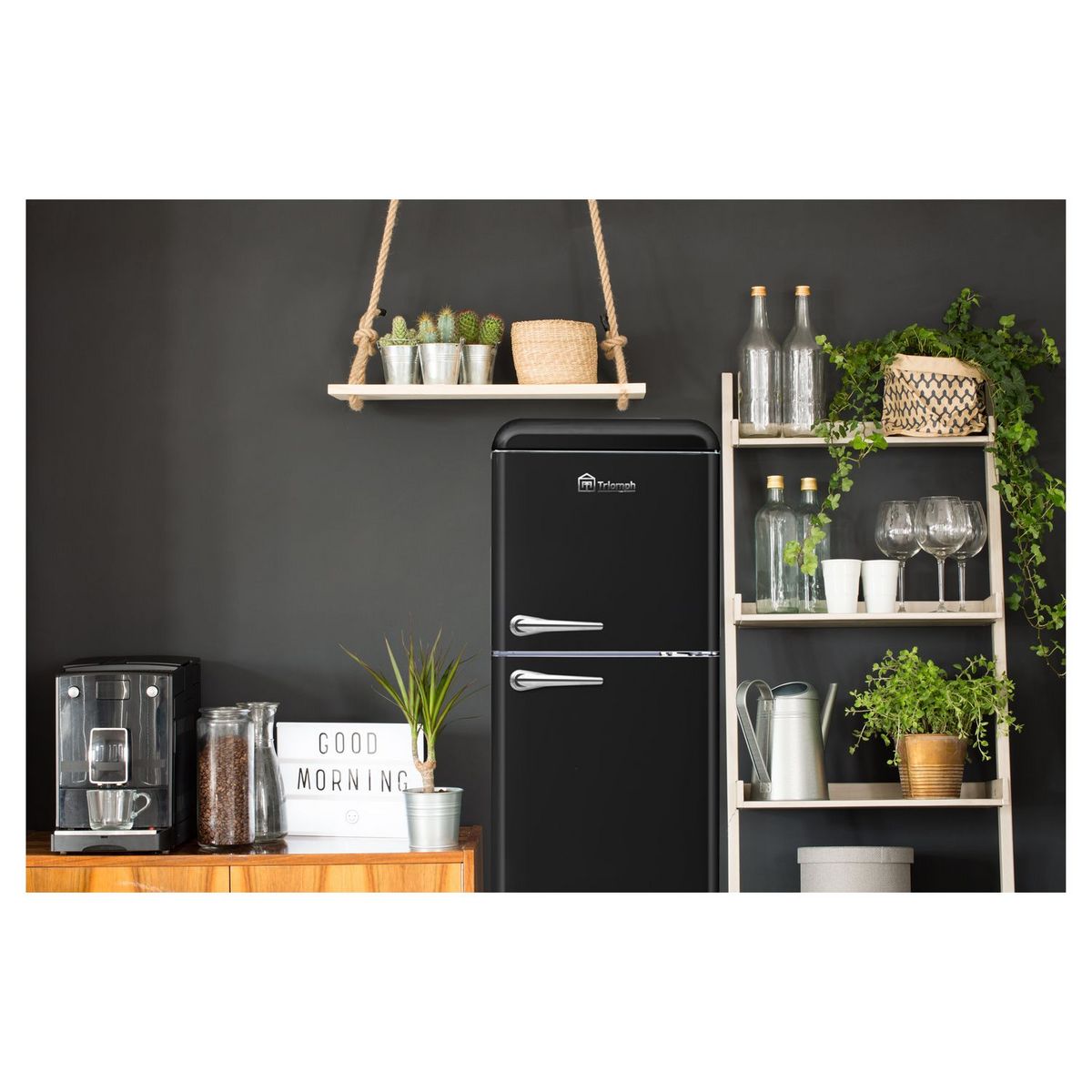 TRIOMPH Réfrigérateur 2 portes TLDP250N, 250 L, Froid statique