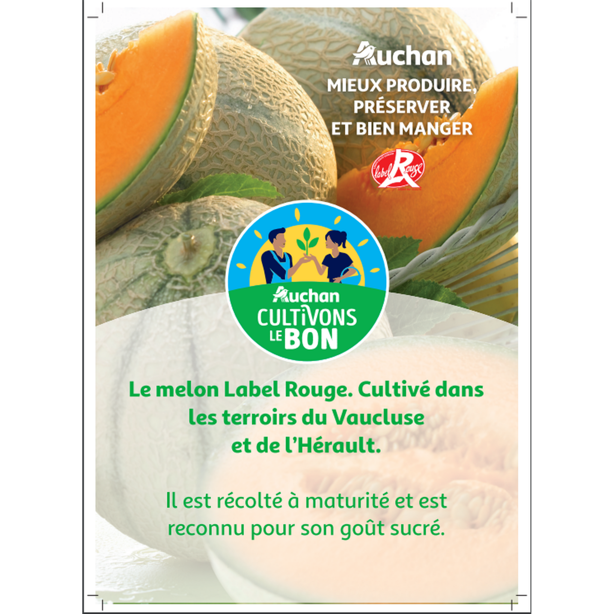 Voir la diapositive 2 : AUCHAN CULTIVONS LE BON Melon charentais jaune label rouge 1 pièce