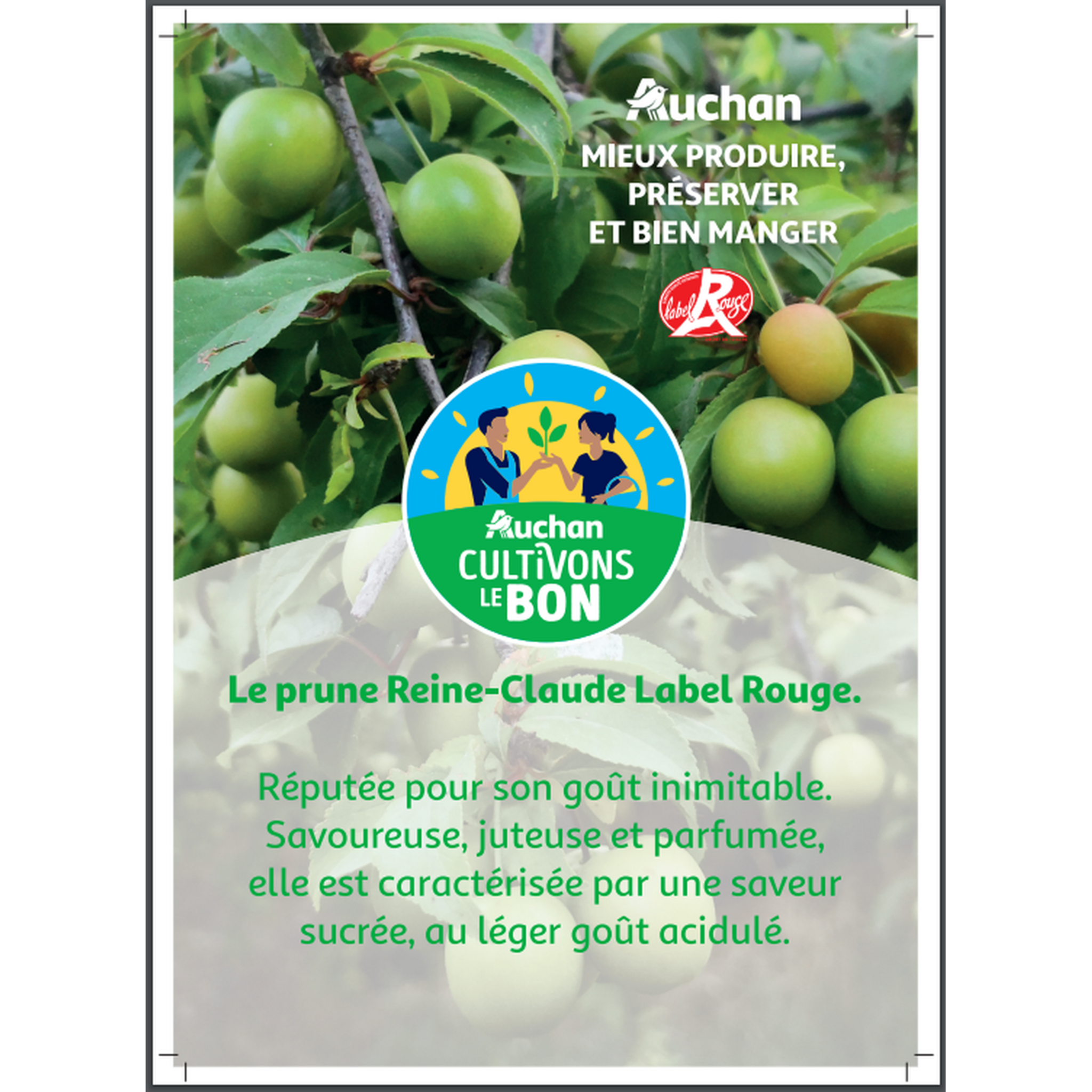 Voir la diapositive 2 : CULTIVONS LE BON Prunes Reine Claude 750g