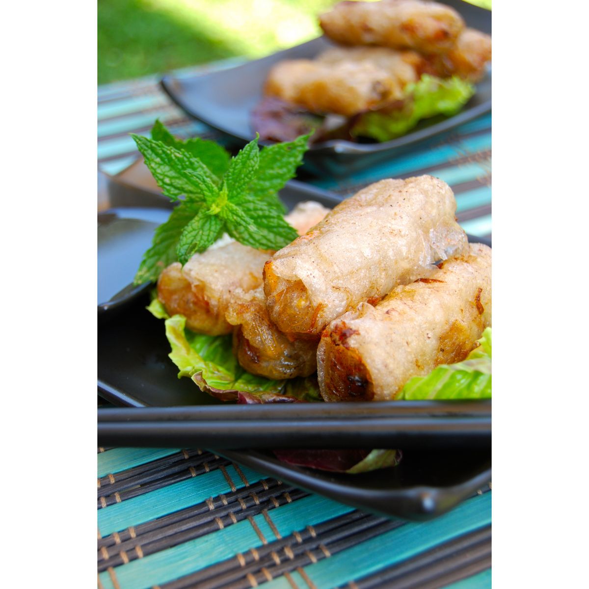 ASIA FOOD Nem au porc 50 pièces 1,65kg