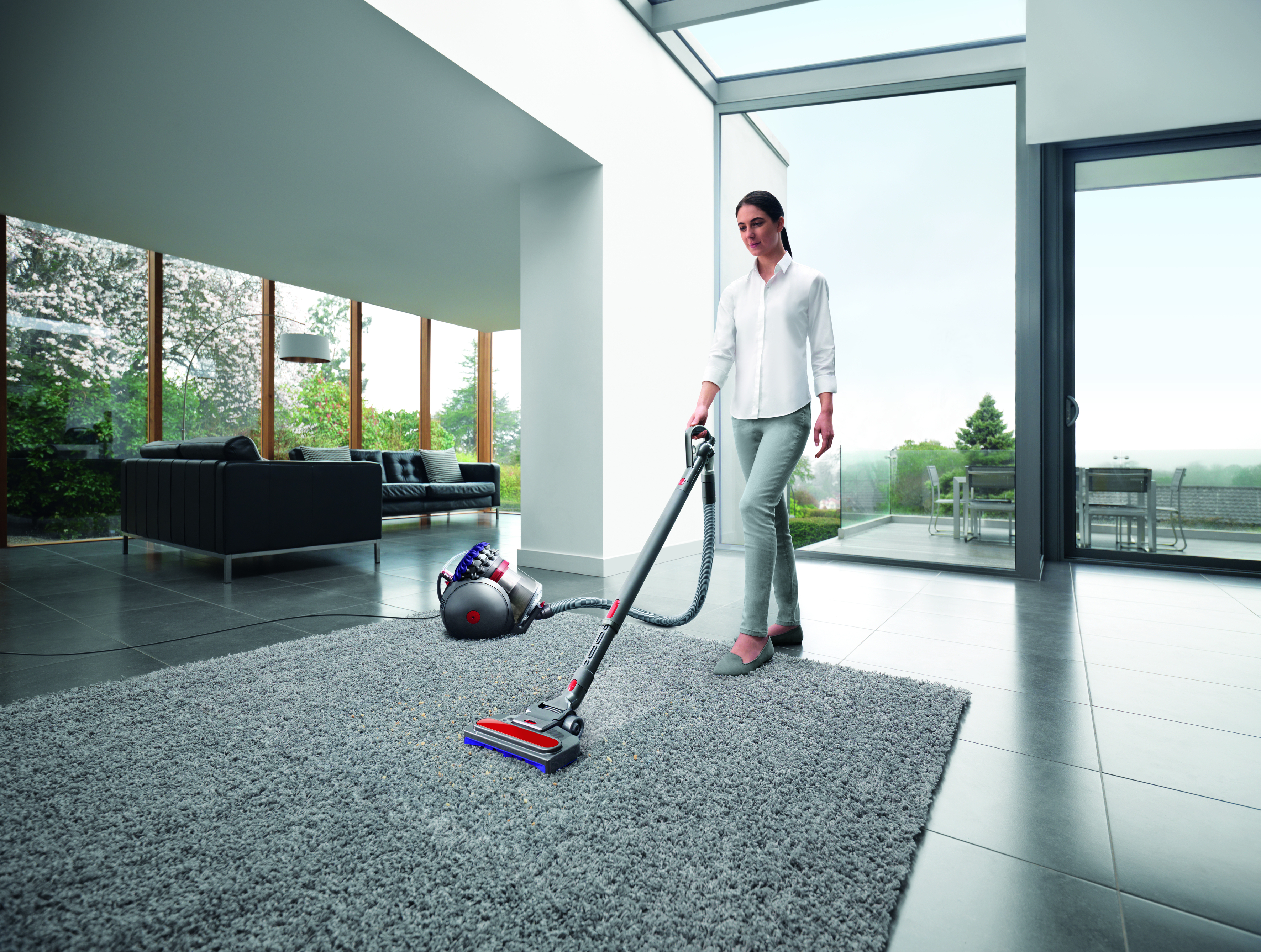 Voir la diapositive 17 : DYSON Aspirateur traîneau sans sac Big ball Parquet 2