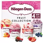 Häagen-Dazs HAAGEN DAZS Mini pot de crème glacée fruit collection obsessions