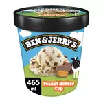 BEN & JERRY'S Pot de crème glacée peanut butter 425g