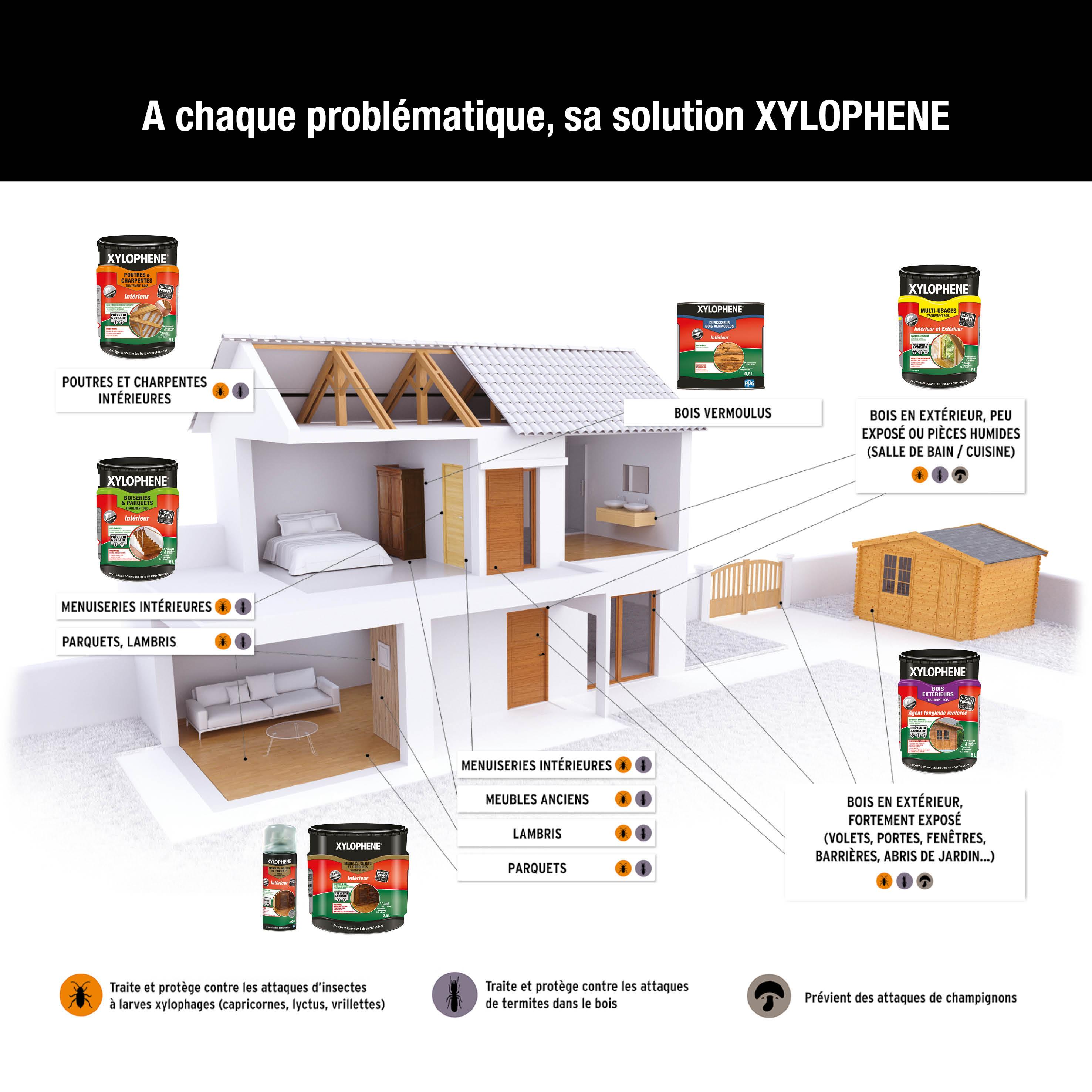 Voir la diapositive 6 : XYLOPHENE Traitement spécial meubles objets et parquets 1l