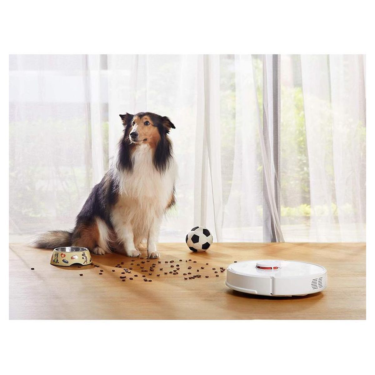 ROBOROCK Aspirateur robot ROBOROCK S6 - Blanc