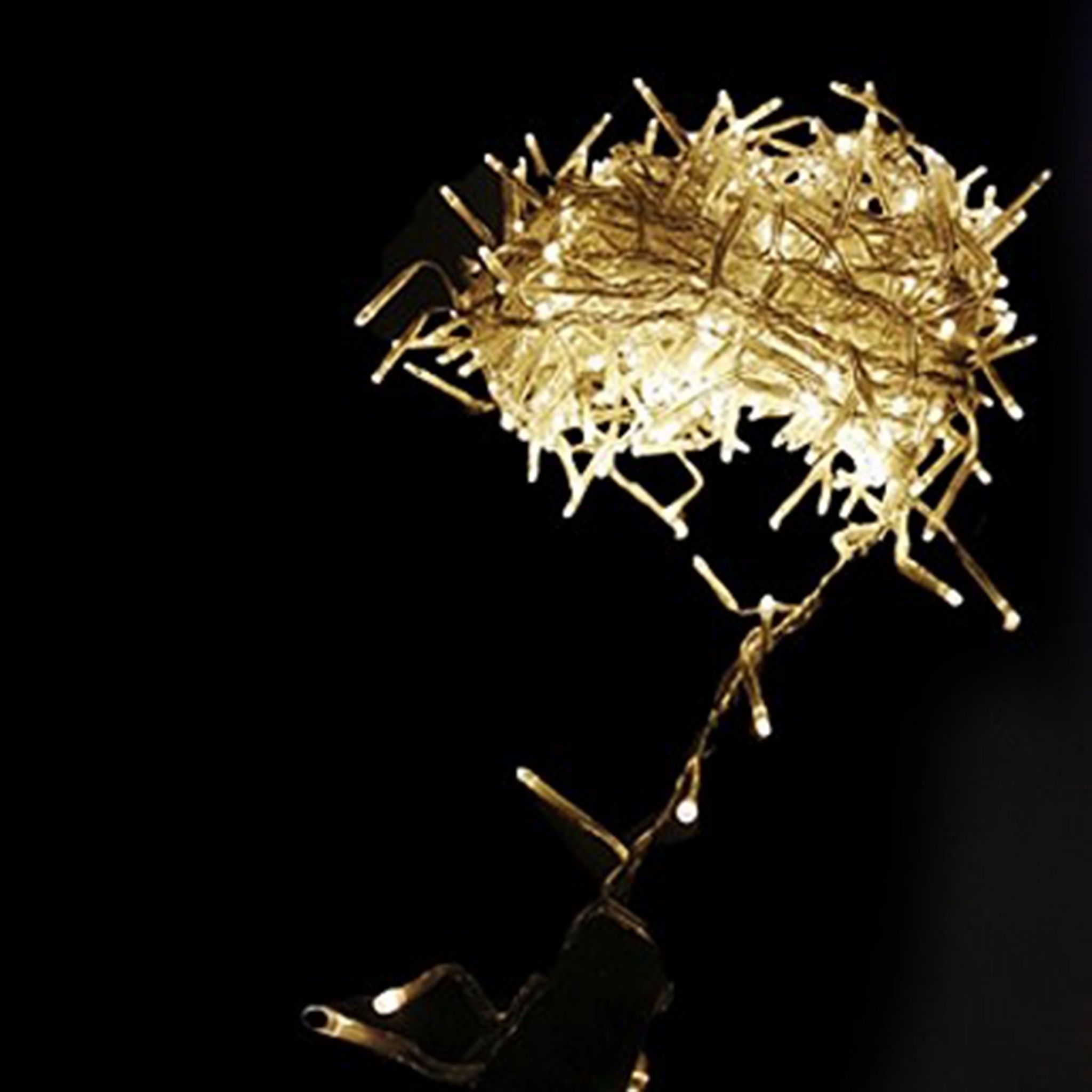 Voir la diapositive 2 : ACTUEL Guirlande lumineuse de Noël extérieure - Blanc chaud - 360 LED