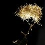 Voir la diapositive 2 : ACTUEL Guirlande lumineuse de Noël extérieure - Blanc chaud - 360 LED