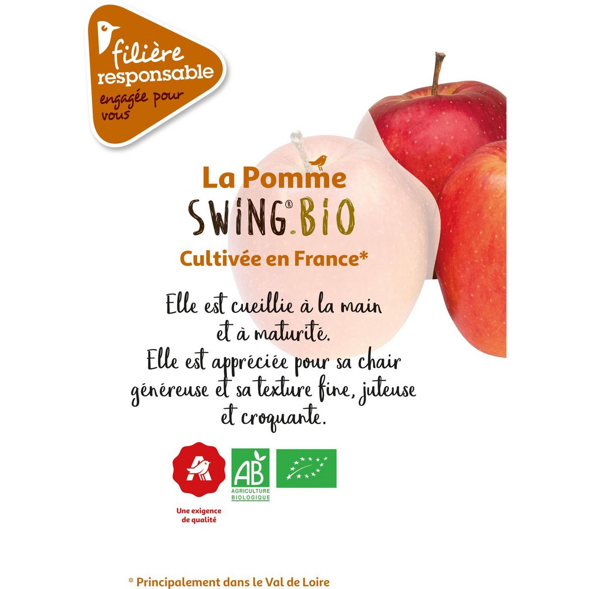CULTIVONS LE BON Pommes Swing bio 6 pièces