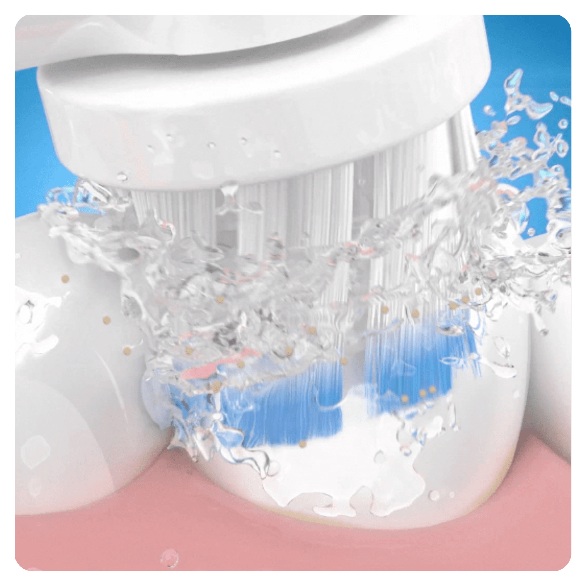 Voir la diapositive 10 : ORAL-B Brosse à dents électrique GENIUS8000N - Blanc