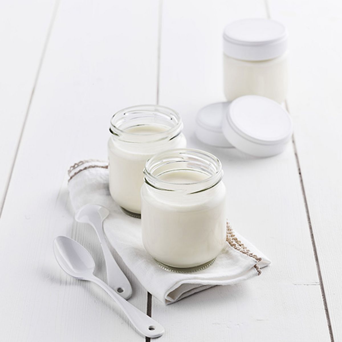 LAGRANGE Yaourtière 459004