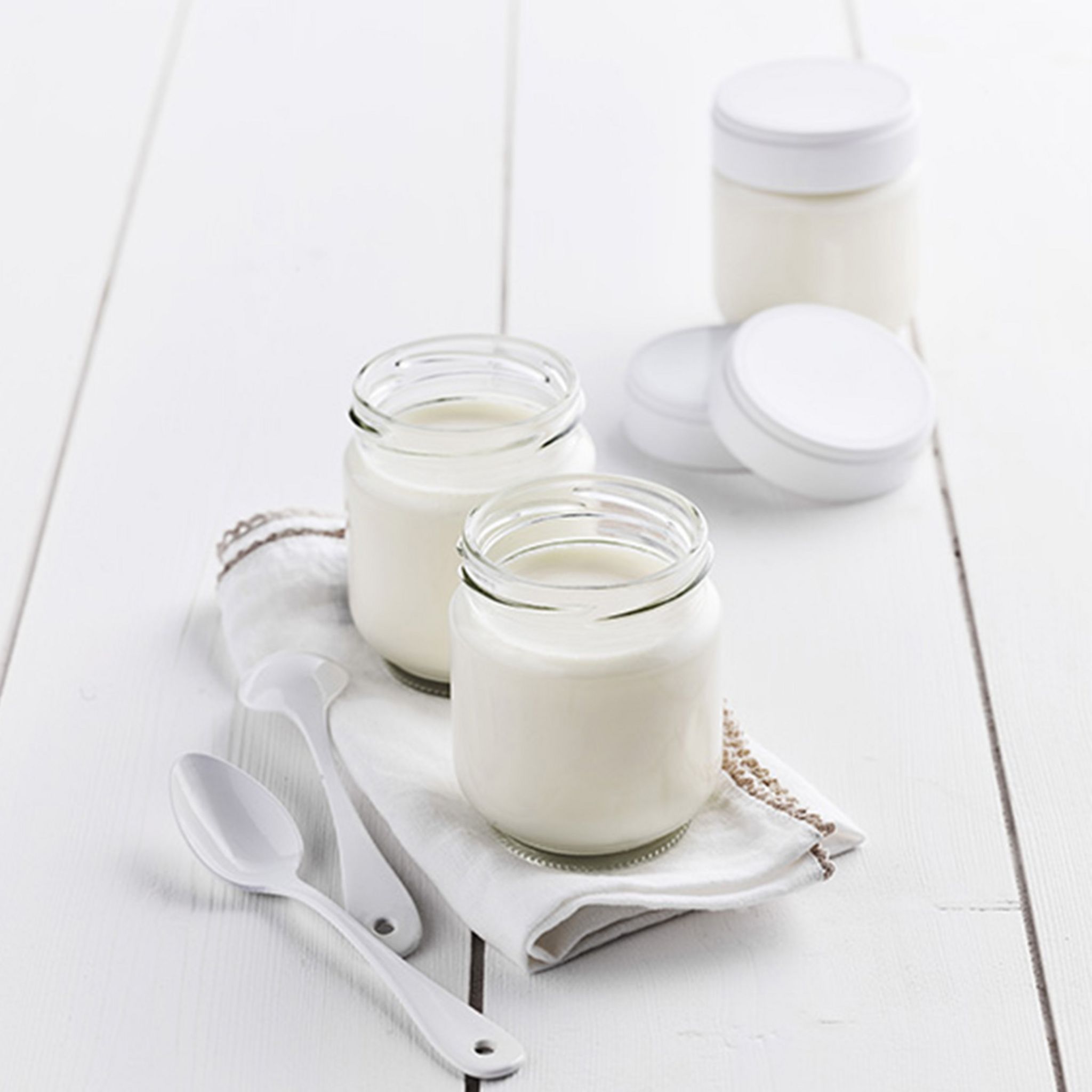 Voir la diapositive 7 : LAGRANGE Yaourtière 459004