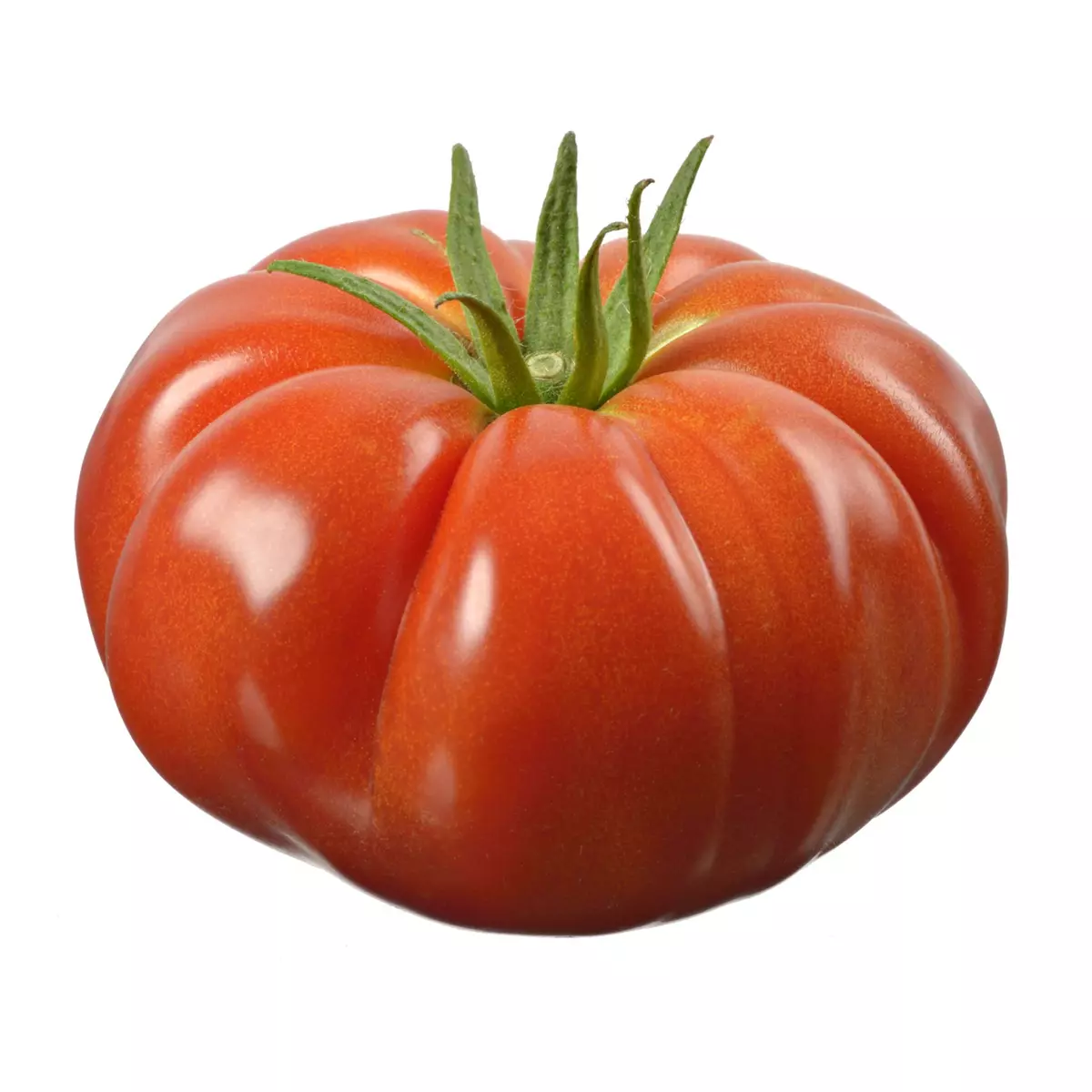 Tomate ancienne côtelée rouge 1 pièce