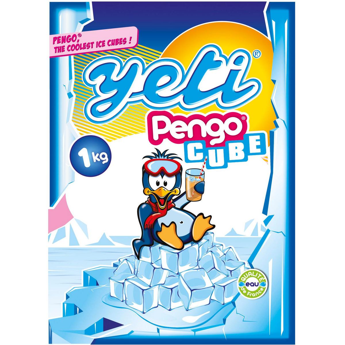 YETI Cube de glace 1kg