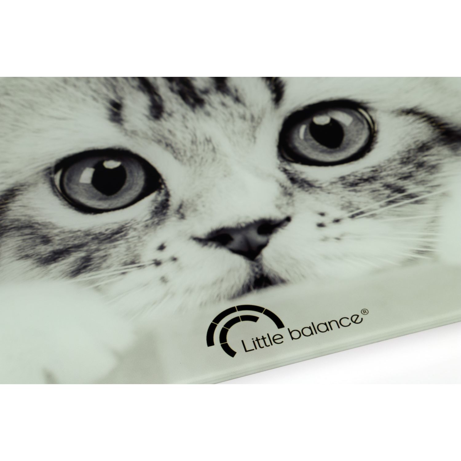 Voir la diapositive 2 : LITTLE BALANCE Pèse personne THECAT8335