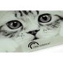 Voir la diapositive 2 : LITTLE BALANCE Pèse personne THECAT8335