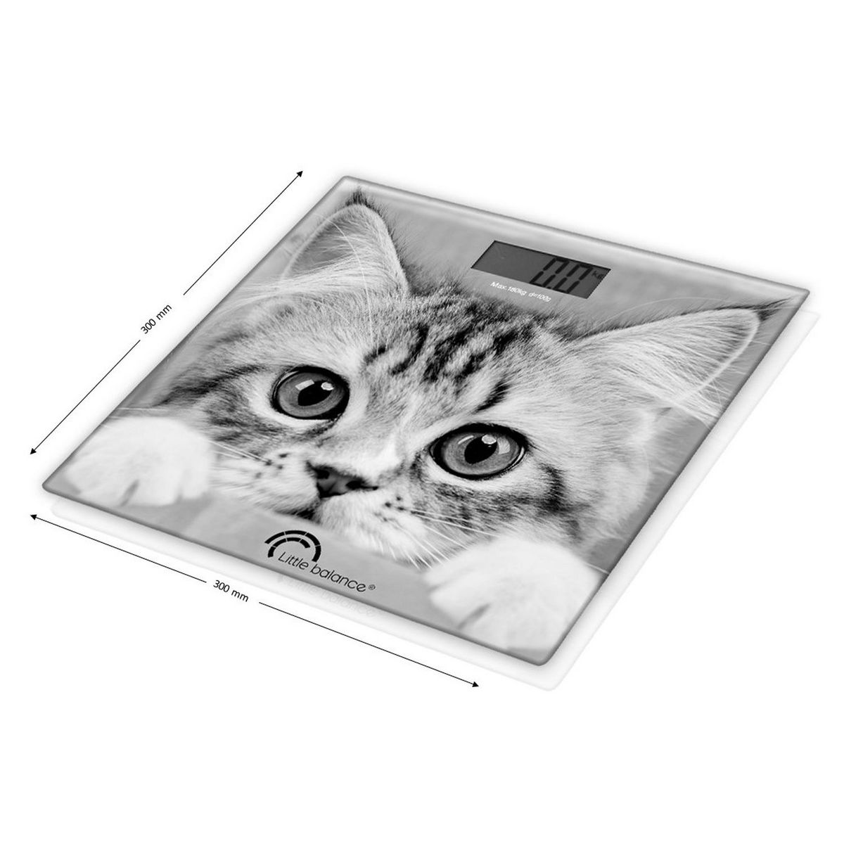 LITTLE BALANCE Pèse personne THECAT8335