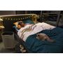 Voir la diapositive 12 : ROWENTA Purificateur d'air PU3040F0- Blanc