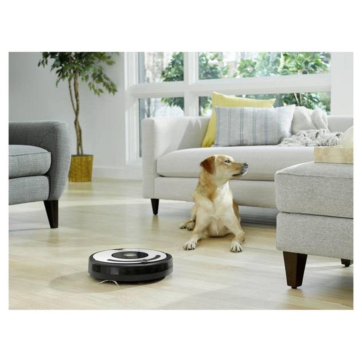 IROBOT Aspirateur robot connecté Roomba R675040 - Blanc et noir