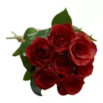 FLEURS Bouquet de 7 roses rouges 1 bouquet