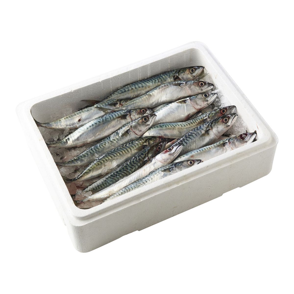 LA MARÉE DU JOUR Maquereaux entiers  la caisse de 3kg